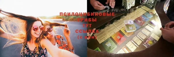 прущая мука Богородицк