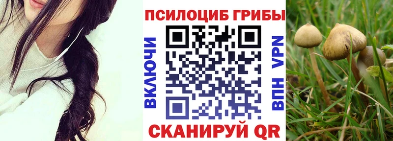 Галлюциногенные грибы Psilocybine cubensis  Малая Вишера 